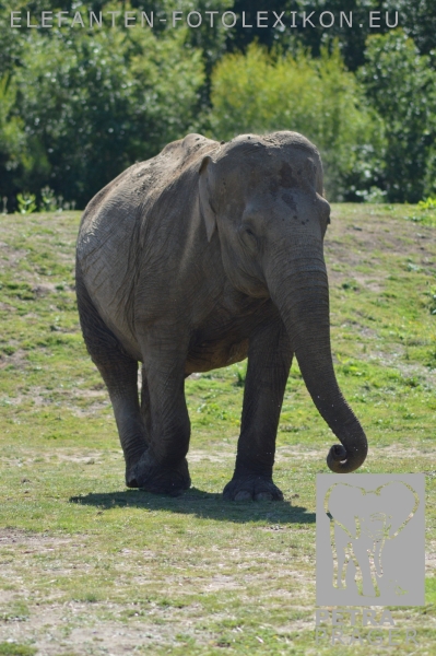 Kate ( Katie, Sonya)